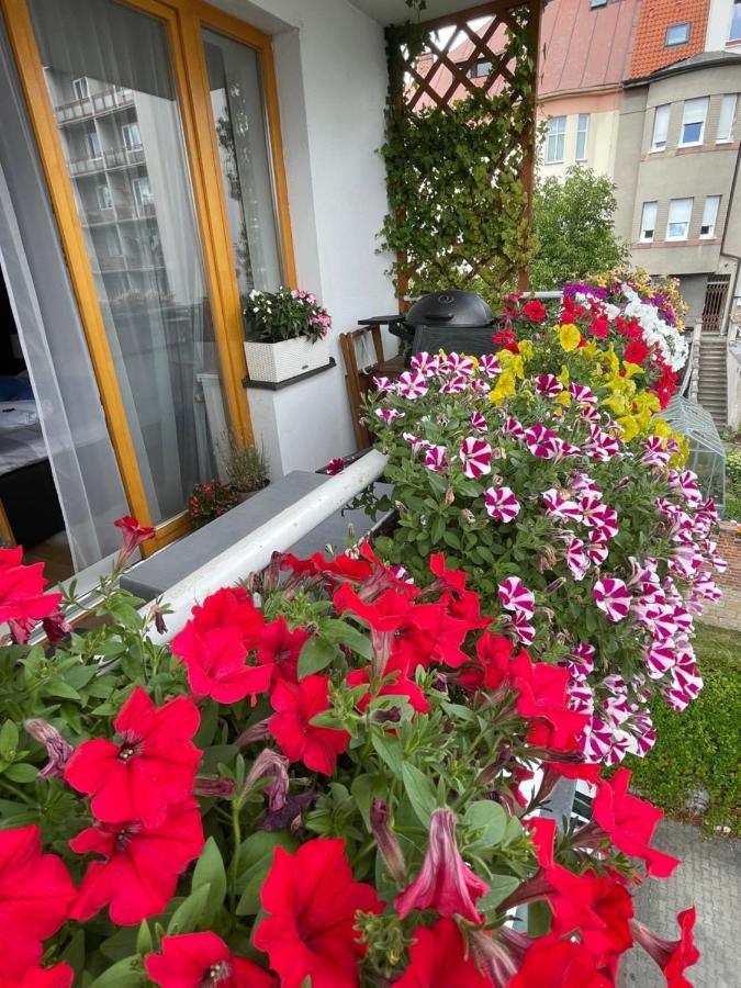 Ferienwohnung Apartman Dafi Pilsen Exterior foto